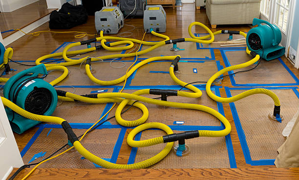 Professional Water Damage Restoration technician working in Lula, GA